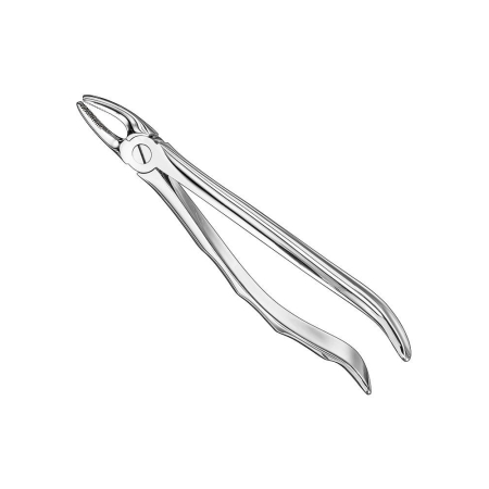 Extracting forceps, anat.